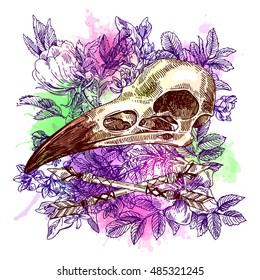 Vector sketch illustration  animal skull. Drawing by hand. Boho style. Use for posters, postcards, print for t-shirt, tattoo.