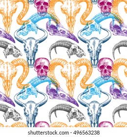 Vector sketch illustration  animal skull. Drawing by hand. Boho style. Use for posters, postcards, print for t-shirt, tattoo.