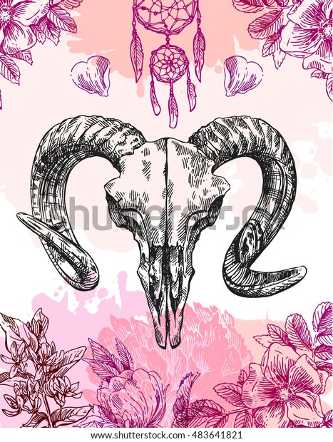 Vector Sketch Illustration Animal Skull Drawing Stock Vector (Royalty