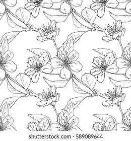Vector sketch illustration of apple tree flower blossom seamless pattern. Handdrawn.