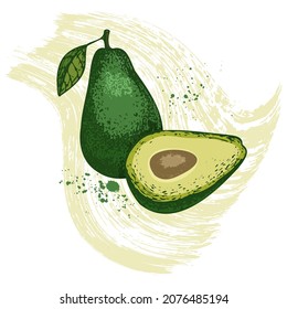Vector sketch illustration of avocado fruit. Eco-friendly food doodle. Engraved botanical berry. Fruit element for the design of labels, packaging, textiles, souvenirs.