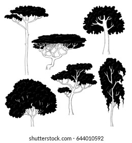 Vector sketch illustration of black silhouettes of different trees on a white background. Pine, birch, oak, acacia and other plant species
