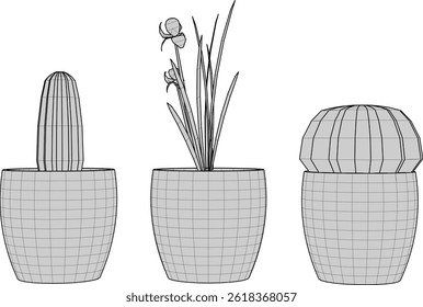 Vector sketch illustration of cactus flower plant decoration design for room decoration