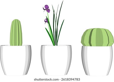 Vector sketch illustration of cactus flower plant decoration design for room decoration