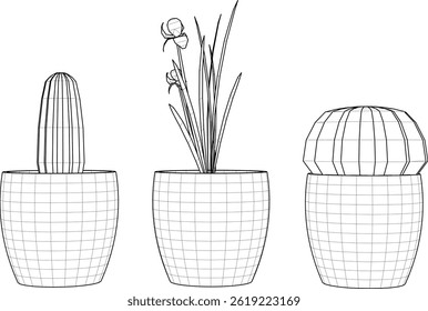 Vector sketch illustration of cactus flower plant decoration design for room decoration