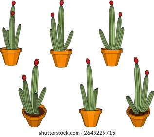 Vector sketch illustration of cactus houseplant design in pot for home interior decoration