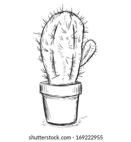 vector sketch illustration - cactus in a pot