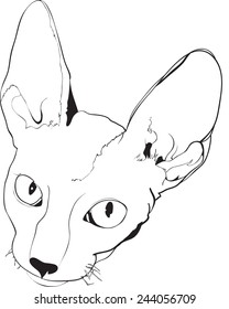 Vector sketch illustration of cat (cornish rex).