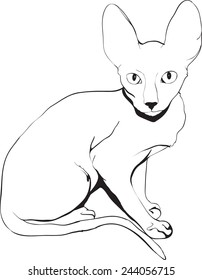 Vector sketch illustration of cat (cornish rex).