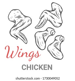 Vector sketch illustration of  Chicken wings, different parts, farming product drawing. Engraved style. Poultry natural business. object for menu, label, recipe, product packaging