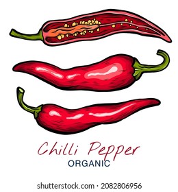 Vector sketch illustration of chili pepper set drawing isolated on white. Whole and cut slices. Engraved style.  natural business. Vintage, retro object for menu, label, recipe, product packaging