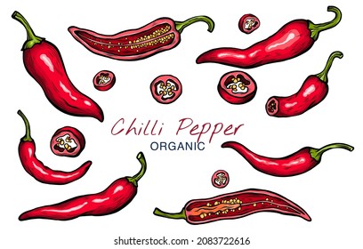 Vector sketch illustration of chili pepper set drawing isolated on white. Whole and cut slices. Engraved style.  natural business. Vintage, retro object for menu, label, recipe, product packaging