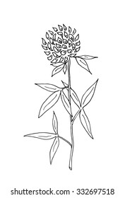 Vector sketch illustration of clover