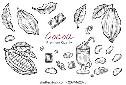 Vector sketch illustration of cocoa and chocolate set drawing isolated on white. Cocoa beans. Engraved style. Ink. natural business. Vintage, retro object for menu, label, recipe, product packaging