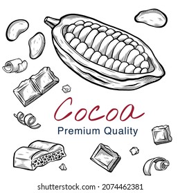 Dibujo vectorial de dibujos de cacao y chocolate aislados en blanco. Granos de cacao. Estilo grabado. Tinta. negocio natural. Vintage, retro objeto para menú, etiqueta, receta, embalaje de productos