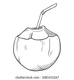 Vector Sketch Illustration - Coconut Cocktail with Drinking Straw