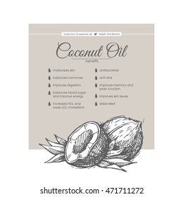 Vector Sketch Illustration Of Coconut. Hair Care, Skin Care Cosmetic. Benefits Essential Oil.