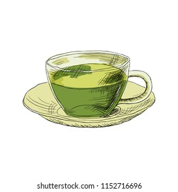 vector sketch illustration - cup of tea