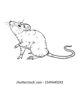 Vector Sketch Illustration - Curious Mouse