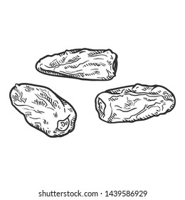 Vector Sketch Illustration - Date Fruit. Phoenix Dried Fruit.