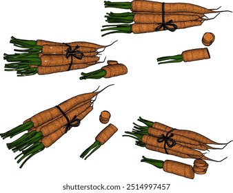 Projeto de ilustração de esboço vetorial de legumes de cenoura frescos para cozinhar