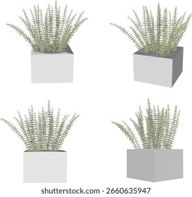 Ilustración de boceto de Vector de una Imagen de diseño de una planta ornamental en maceta para un interior de habitación moderno 