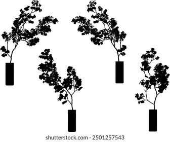 Vector sketch illustration design of silhouette of ornamental plants in pots for room interior