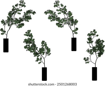 Vector sketch illustration design of silhouette of ornamental plants in pots for room interior