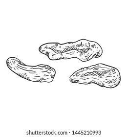 Vector Sketch Illustration - Dried Apricot