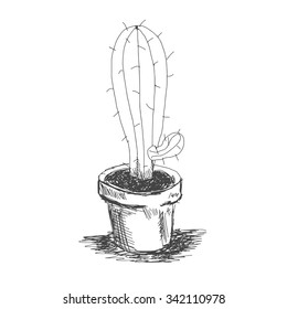 vector sketch illustration eps 10 cactus in a pot