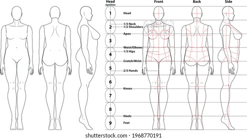 vector sketch illustration Fashion Curvy figure female body    vector woman girl illustration and 9 heads proportion    over size woman    plus size girl