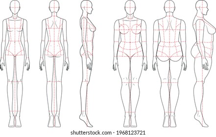 vector sketch illustration of a Fashion figure of female body in two different shape: straight and curvy - vector woman or girl illustration with 9 heads proportion