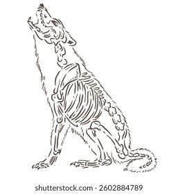 Vector sketch illustration of a ferocious wolf with a bone skeleton shape with a very unique design