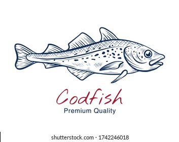 Vector sketch illustration of fresh codfish sea fish drawing isolated on white. Engraved style. natural business. Vintage, retro  object for menu, label, recipe, product packaging