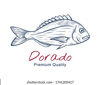 Vector sketch illustration of fresh dorado sea fish drawing isolated on white. Engraved style. natural business. Vintage, retro  object for menu, label, recipe, product packaging