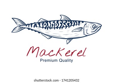 Vector sketch illustration of fresh mackerel sea fish drawing isolated on white. Engraved style. natural business. Vintage, retro  object for menu, label, recipe, product packaging