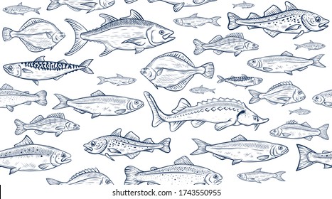 Vector sketch illustration of fresh sea fishes drawing isolated on white. Engraved style. natural business. Vintage, retro  object for menu, label, recipe, product packaging