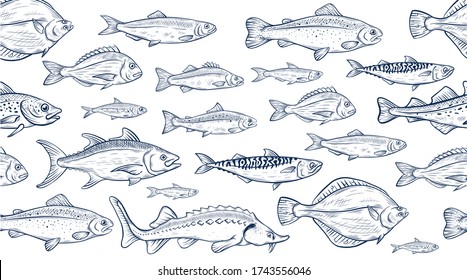 Vector sketch illustration of fresh sea fishes drawing isolated on white. Engraved style. natural business. Vintage, retro  object for menu, label, recipe, product packaging