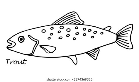 Vector sketch illustration of fresh trout sea fish drawing isolated on white. Engraved style. natural business. Vintage, retro object for menu, label, recipe, product packaging