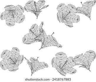 Vector sketch illustration of hibiscus flower design