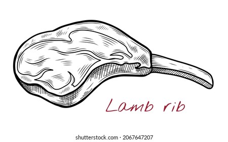 Vector sketch illustration of lamb chop6 raw meat drawing isolated on white. Engraved style. natural business. Vintage, retro object for menu, label, recipe, product packaging