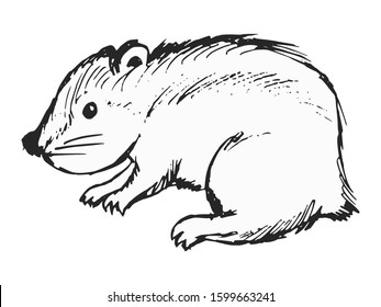 Vector, sketch illustration of lemming. Motives of wildlife, rodents, animals