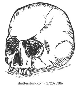 vector sketch illustration - old stale skull