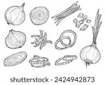 Vector sketch illustration of onion set drawing isolated on white. half, whole and cut rings.