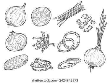 Vector sketch illustration of onion set drawing isolated on white. half, whole and cut rings.