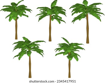 Esbozo vectorial ilustración de la decoración de plantas de palmeras para jardín y campo
