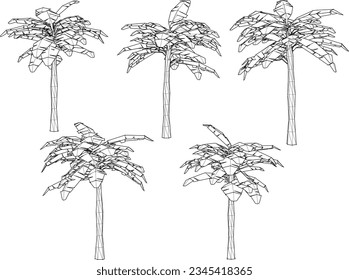 Vector sketch illustration of palm tree plant decoration for garden and field