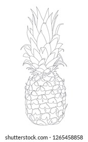 Vector sketch illustration - a pineapple