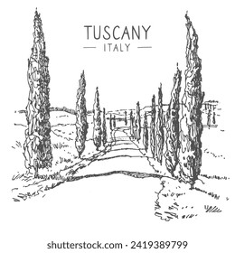 Vector sketch illustration of the road with cypress in Tuscany, Italy, Europe. Sketchy line art drawing with a pen on paper. Sketch in black color isolated on white background. Freehand drawing.