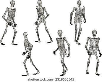 Vector sketch illustration of a running human skull cartoon